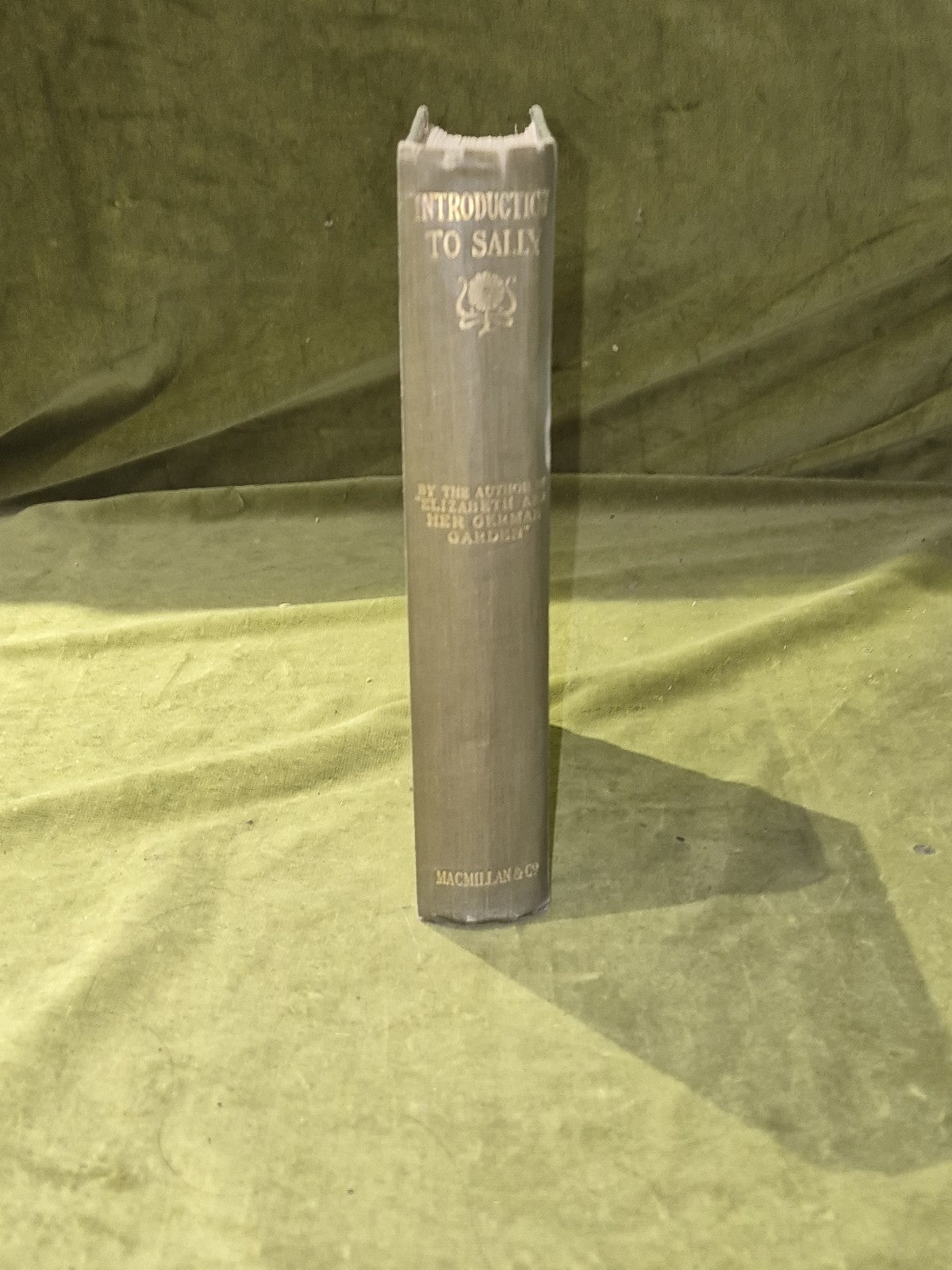 Elizabeth Von Arnim - Introduction to Sally 1926 1st Ed Hardback Macmillan2