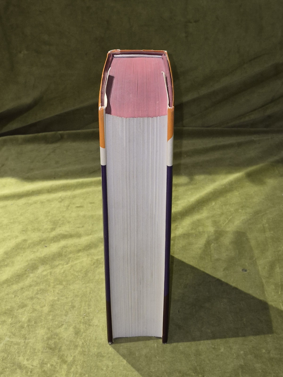 SCIENCE IN THE NINETEENTH CENTURY - Ed. Rene Taton - 1965 1st Edition HB DJ VGC7
