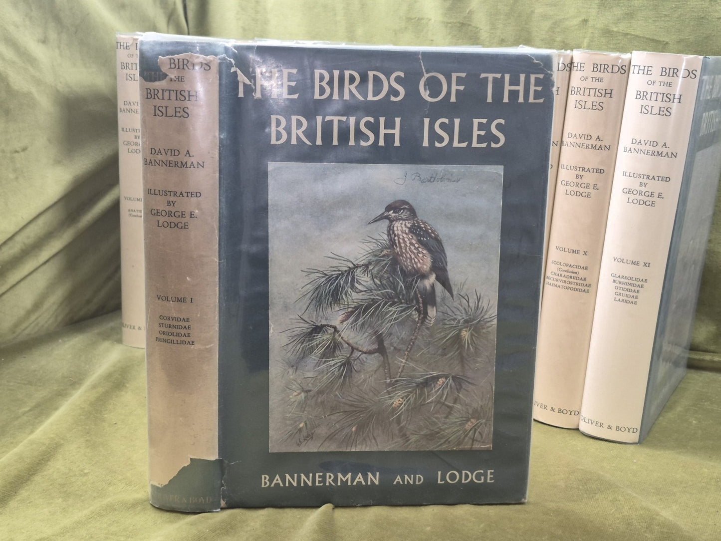 Bannerman The Birds of the British Isles Ornithology  12 Vols 1st Editions DJ2