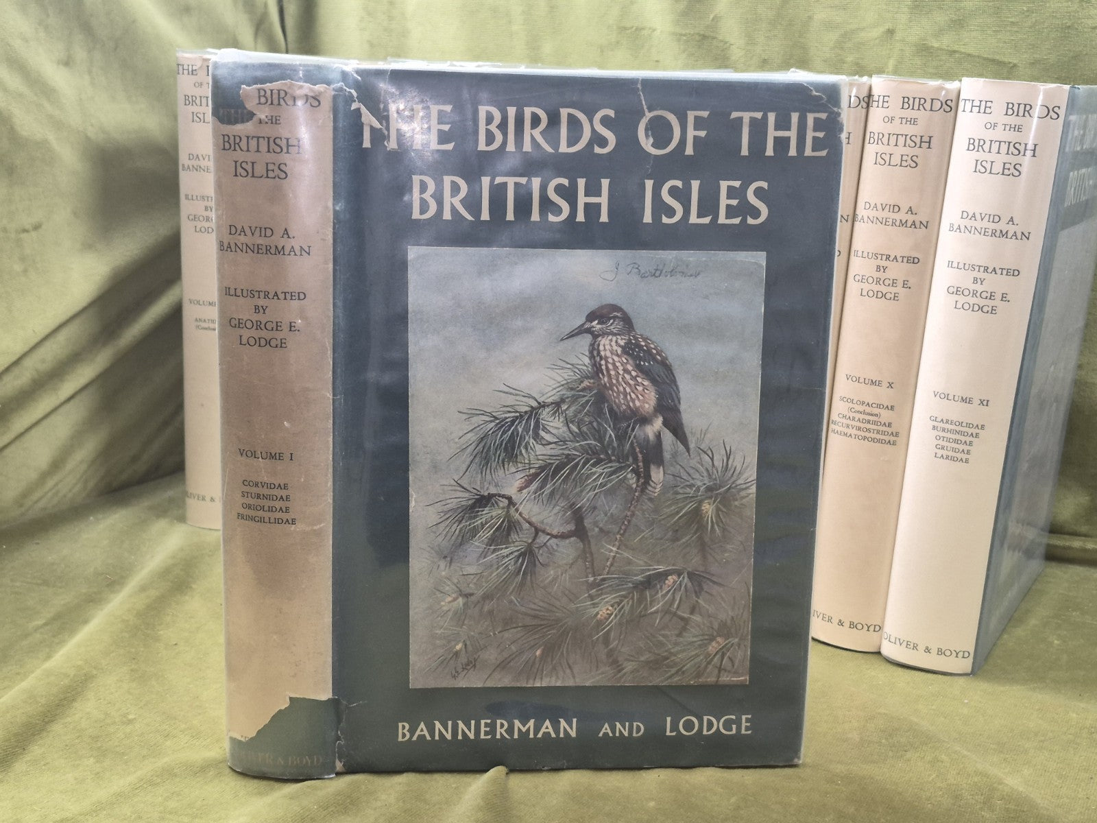 Bannerman The Birds of the British Isles Ornithology  12 Vols 1st Editions DJ2