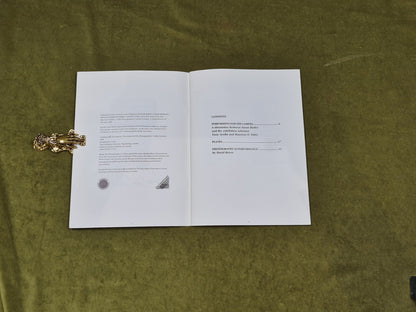 Photography as Performance: Message Through Object & Picture SC3