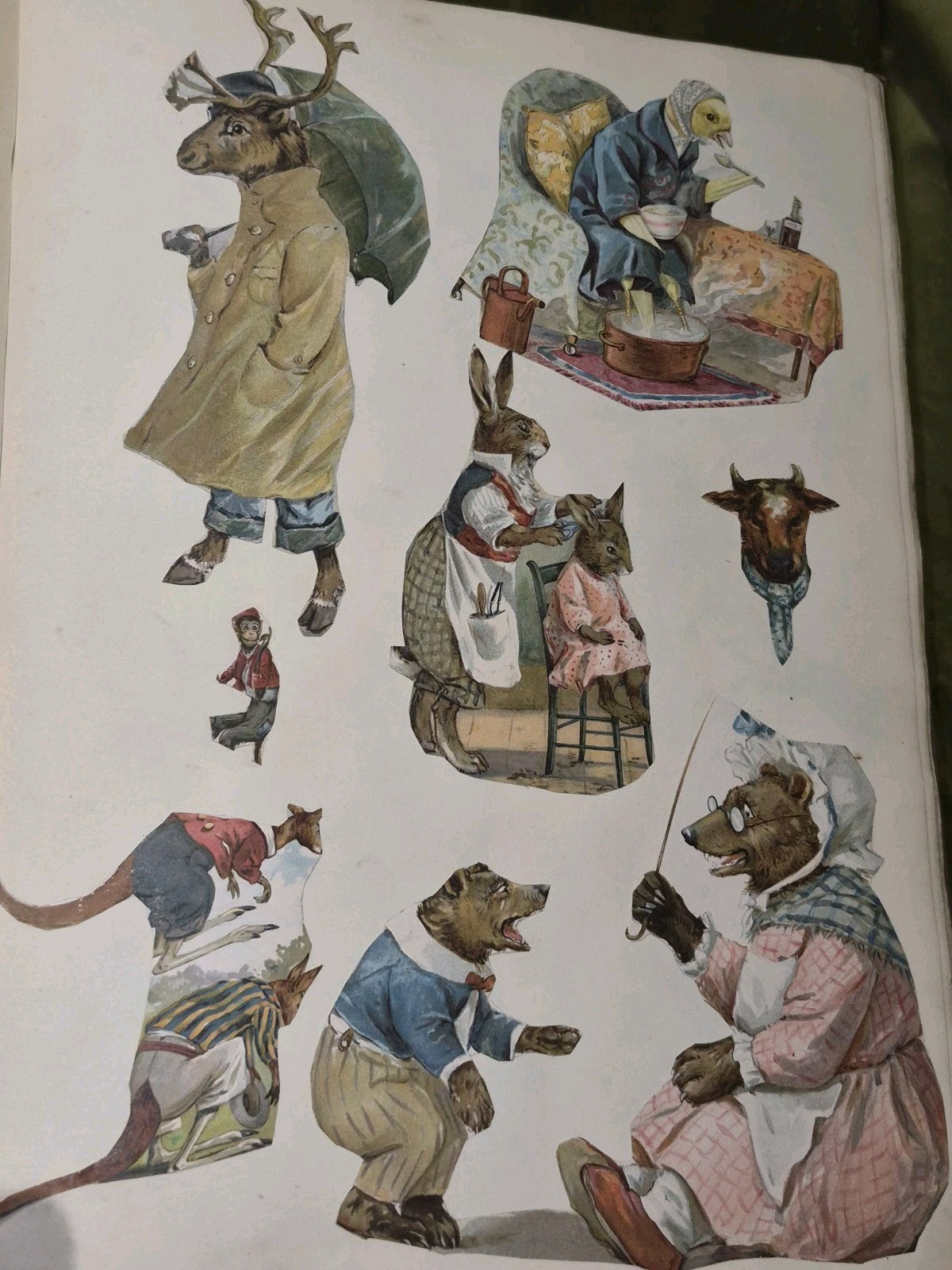 Edwardian Scrapbook Louis Wain & Fashion plates Full 80 pages  ephemera 16x11"14