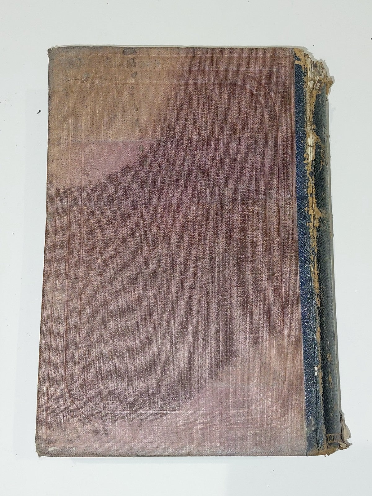 The Highland Sportsman, Sporting guide to Highlands Scotland by Robert Hall 18824