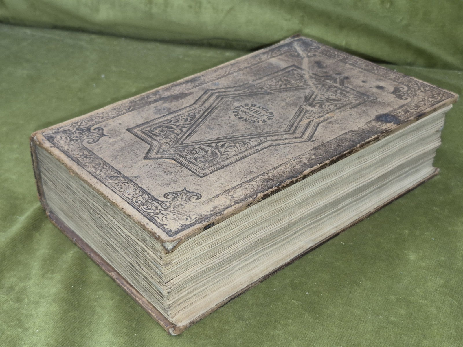 Biobull T-Seann Tiomnaidh 1828 London Gaelic Albannaich3