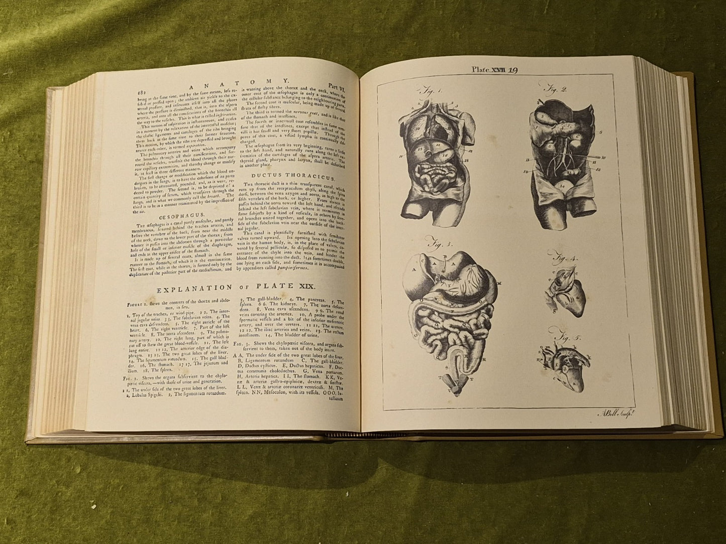 Encyclopedia Brittanica 1st Ed Facsimile in 3 Vols Leatherbound in Mahogany Case13