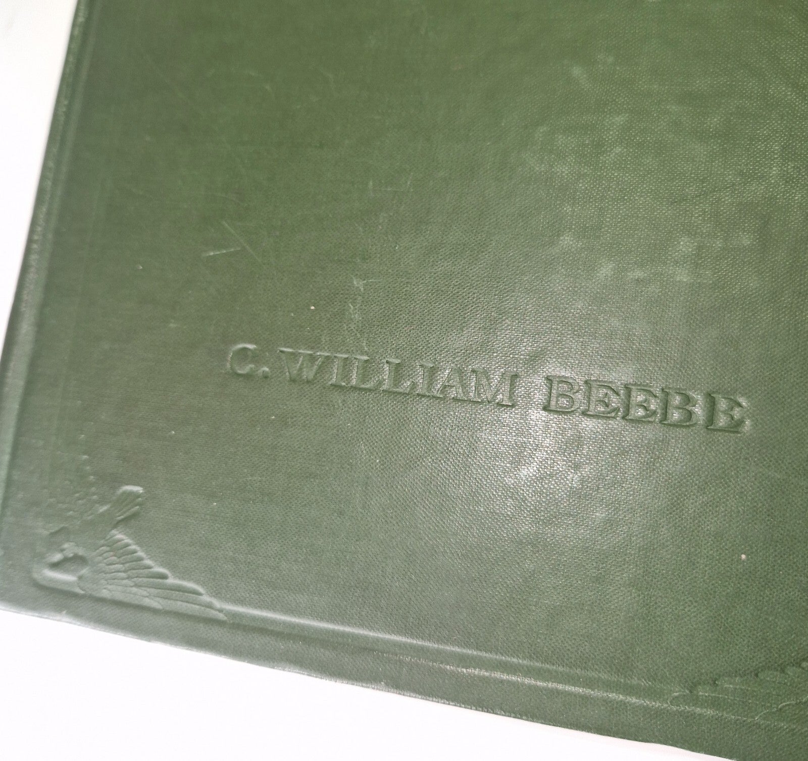 The Bird Its Form And Function By C. William Beebe 19073