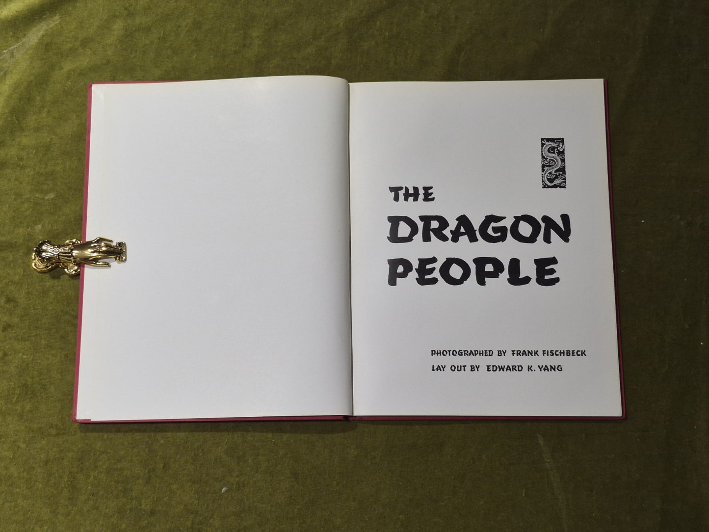 The Dragon People - Frank Fischbeck , Edward K Yang , South China Morning Post4
