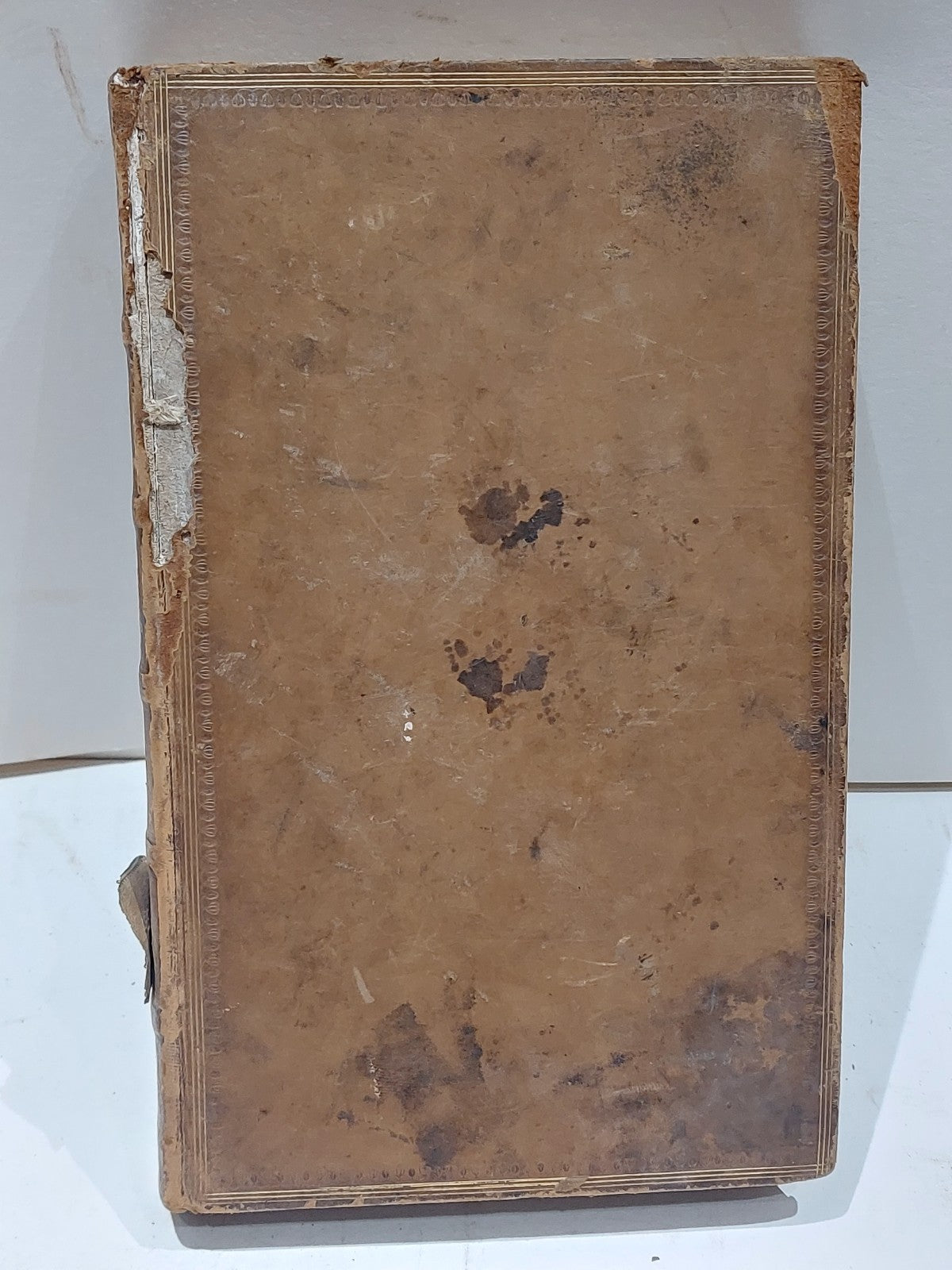 The Works Of Samuel Johnson Complete Set Of 12 Twelve Volumes (1824) Leather7