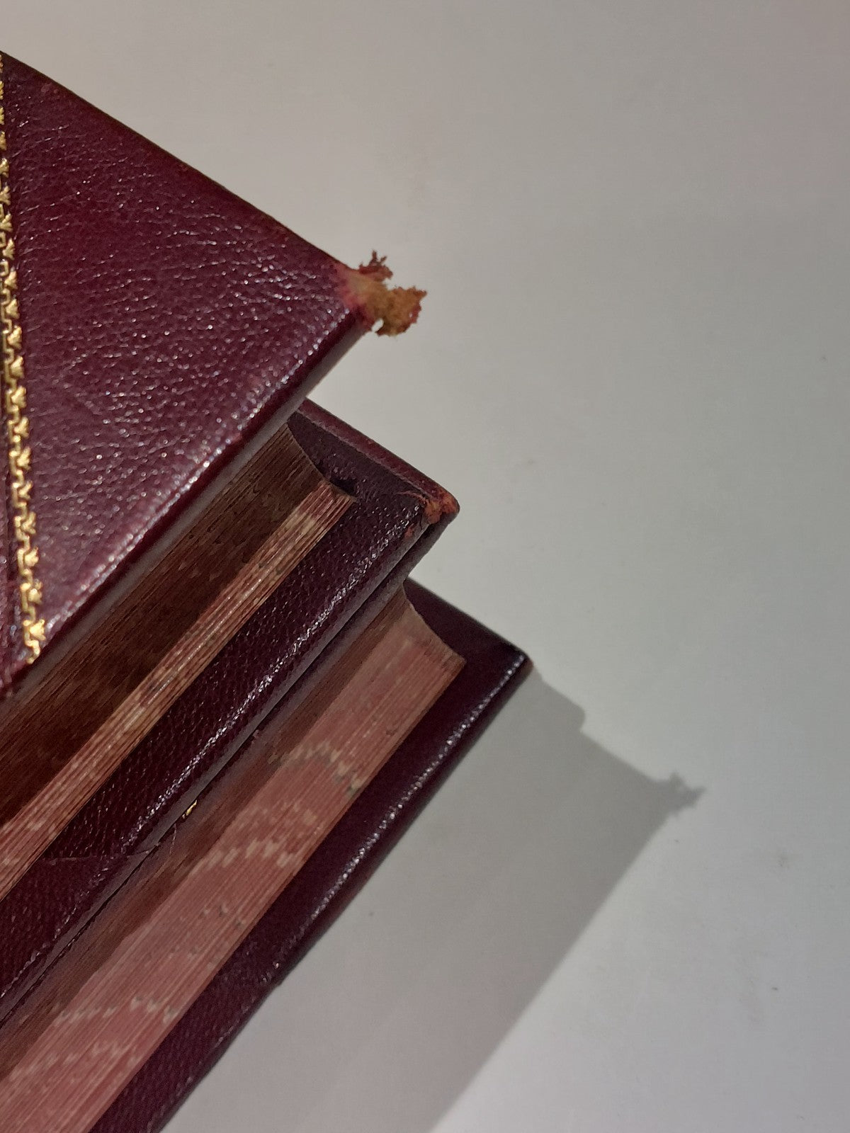 Chamber's Encyclopaedia 10 Vol Set (1901) Heavy Quarter Leather Bound Books5