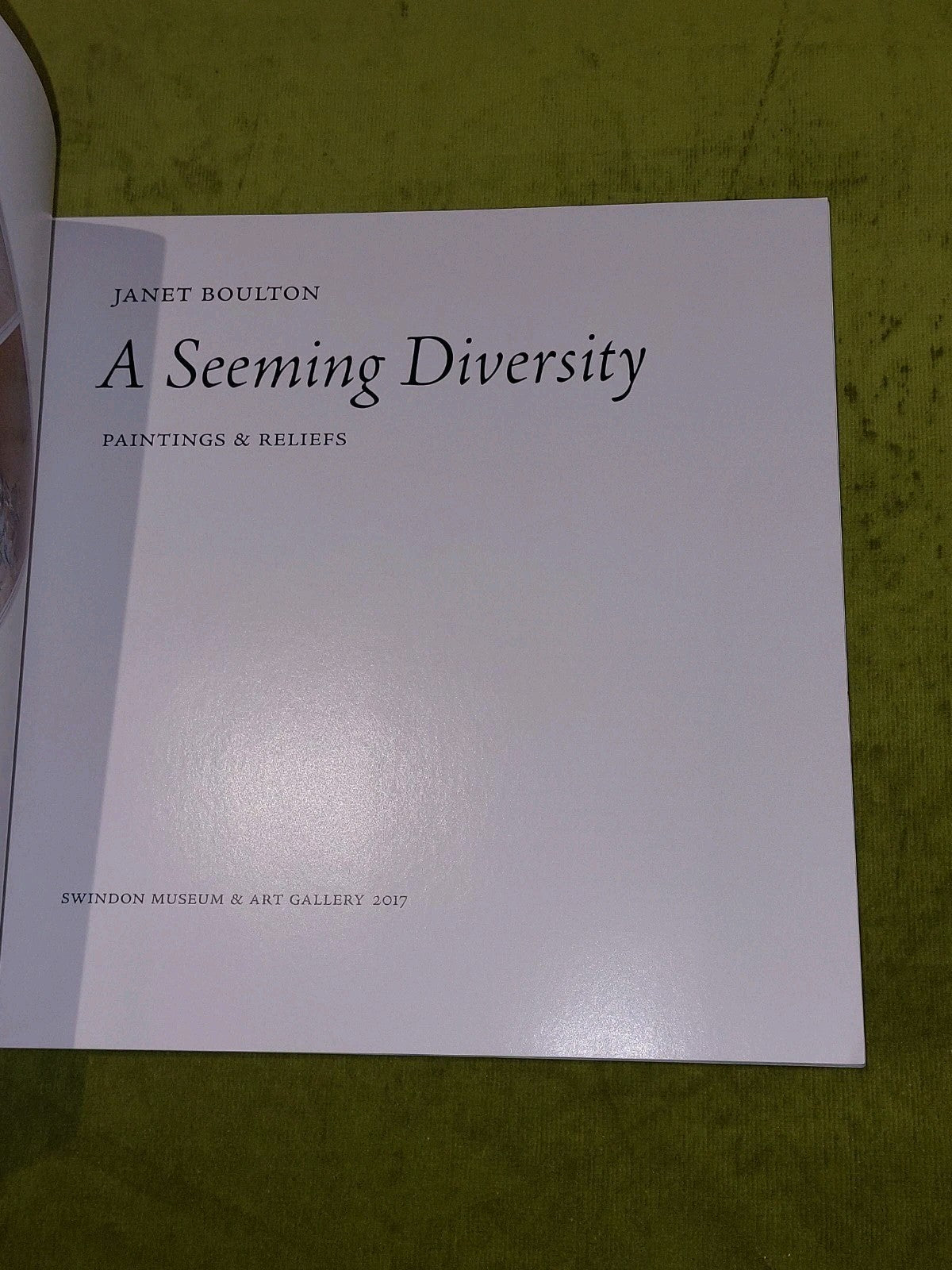 A Seeming Diversity By Janet Boulton (2018) Swindon Museum & Art Gallery Book2