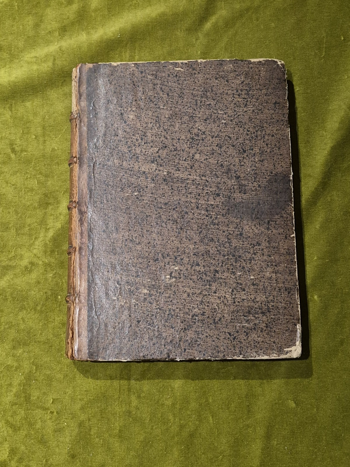Le Vite dei Pittori Scultori et Architetti Veronesi - 1743 antiquarian hardcover1