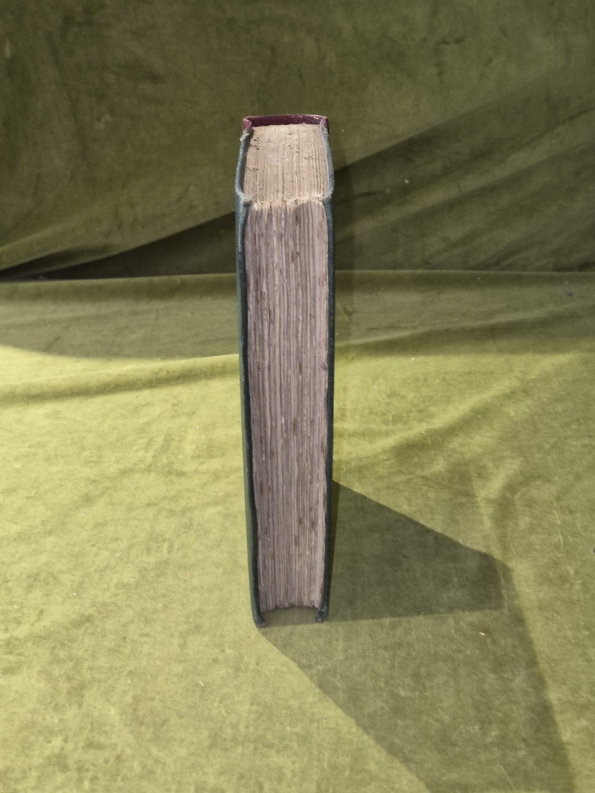 Science of Foxhunting & the Management of the Kennel - Scrutator, Routledge 18686