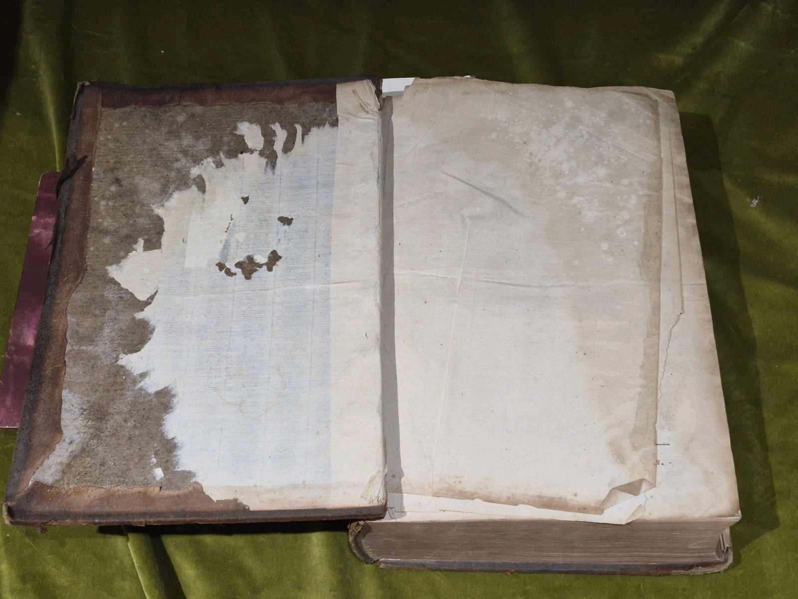 1637 Greek-Roman Lexicon - In Quo Ex Primitivorum - Ioannis Scapulae - Leather3