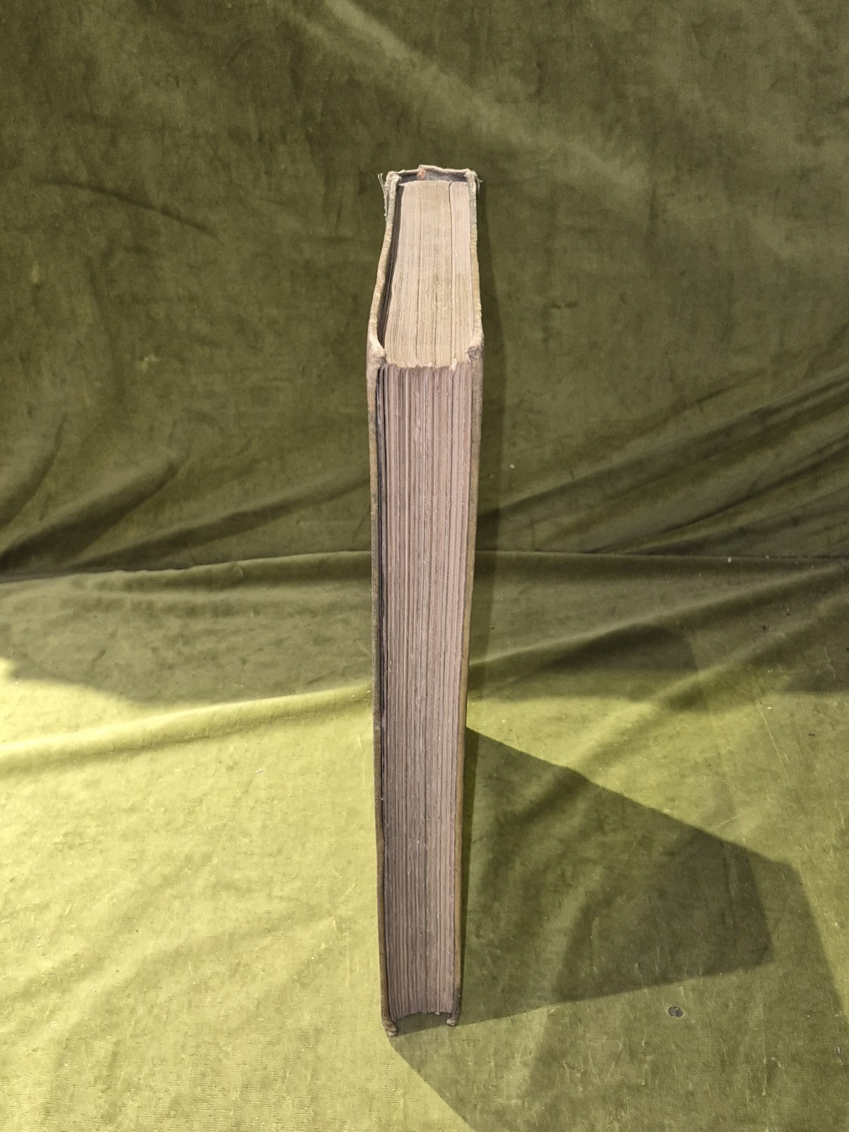 Sandro Botticelli and his School - Count Plunkett - Bell 1900 HB13