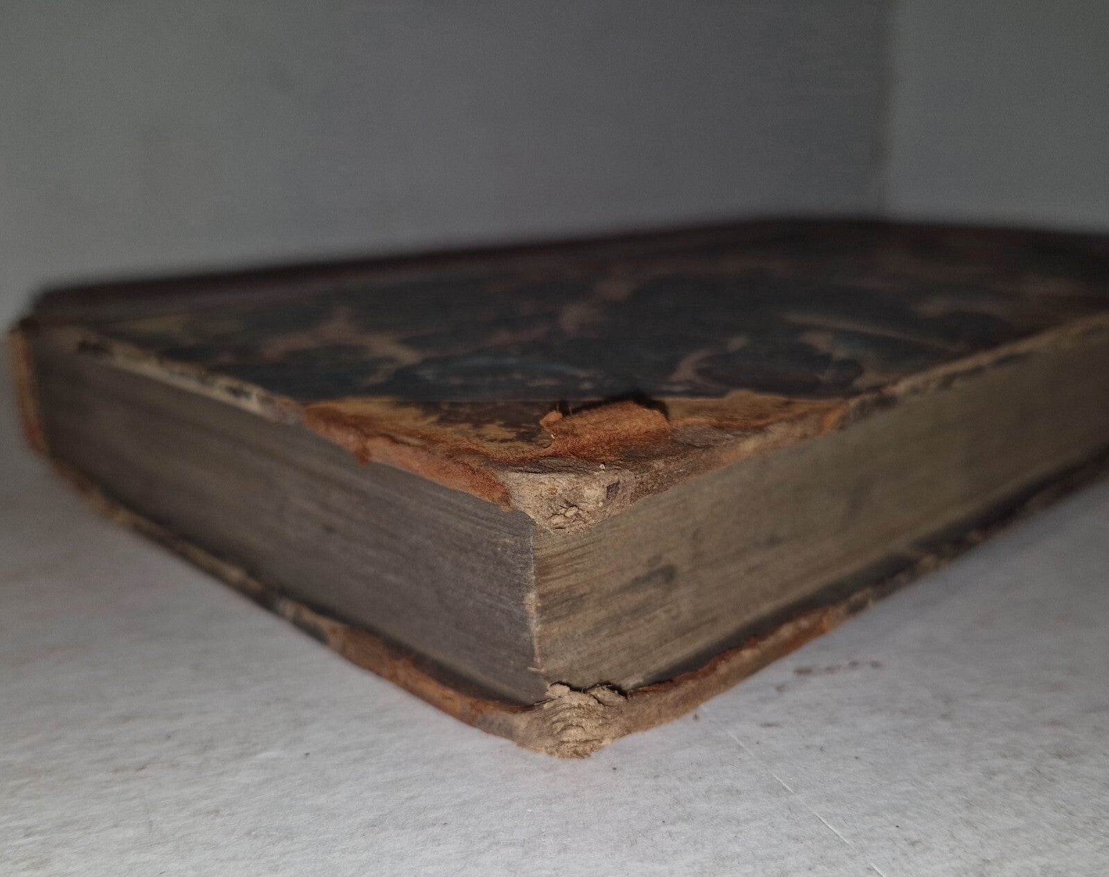 1783 Flora Diaetetica or History of Esculent Plants By Charles Bryant 1st Editn4