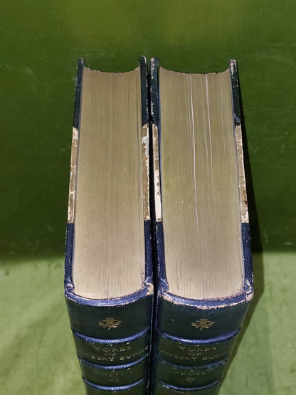Robert Burns Poetry & Prose (1877) Fine Leather Binding Large Books1