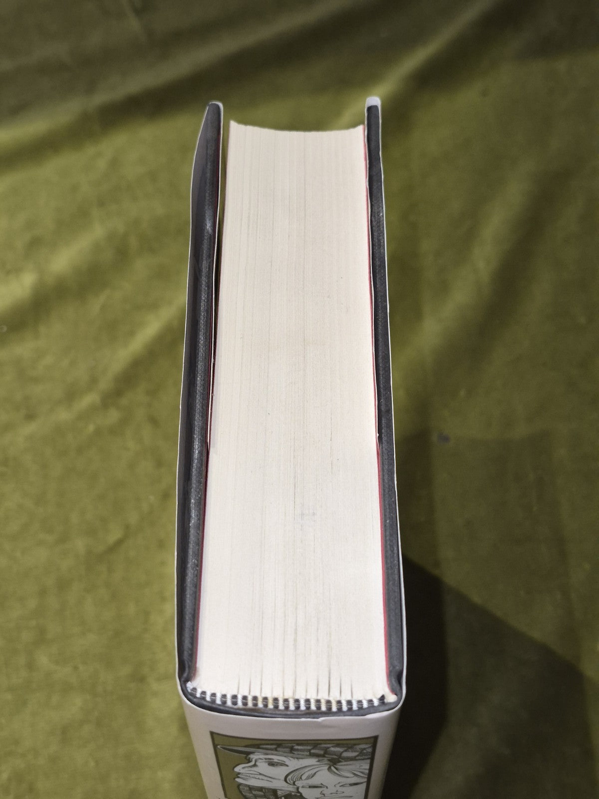 Alasdair Gray – Lanark (1st/1st US 1985 hb w dw) first novel cult classic3