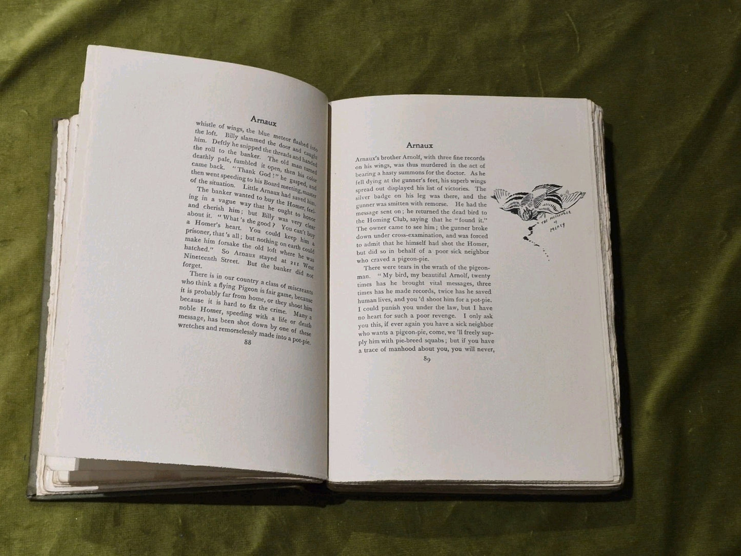 Animal Heroes Ernest Thompson Seton 1905 1st Edition Illustrated HC6