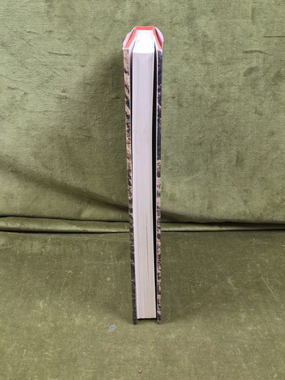The Guizer : A Book of Fools by Alan Garner , Hamish Hamilton 1975 1st HB DJ6