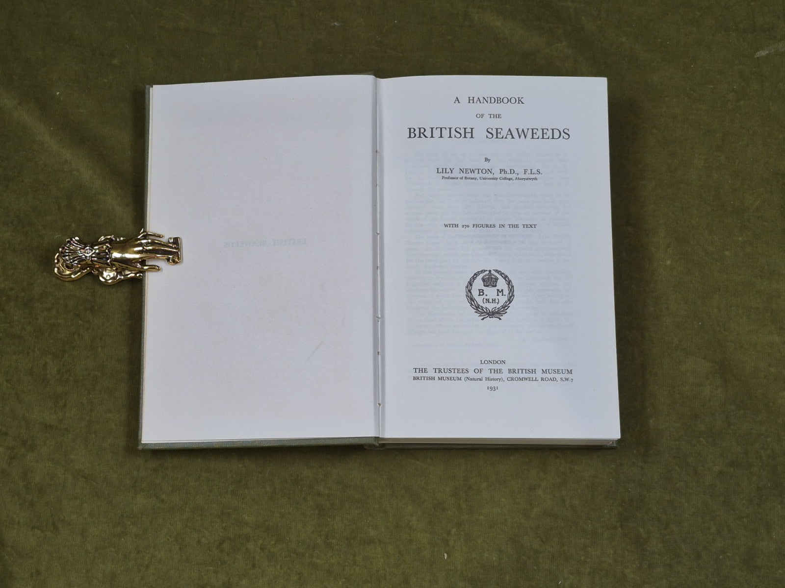 A Handbook of the British Seaweeds Lily Newton , British Museum 19624
