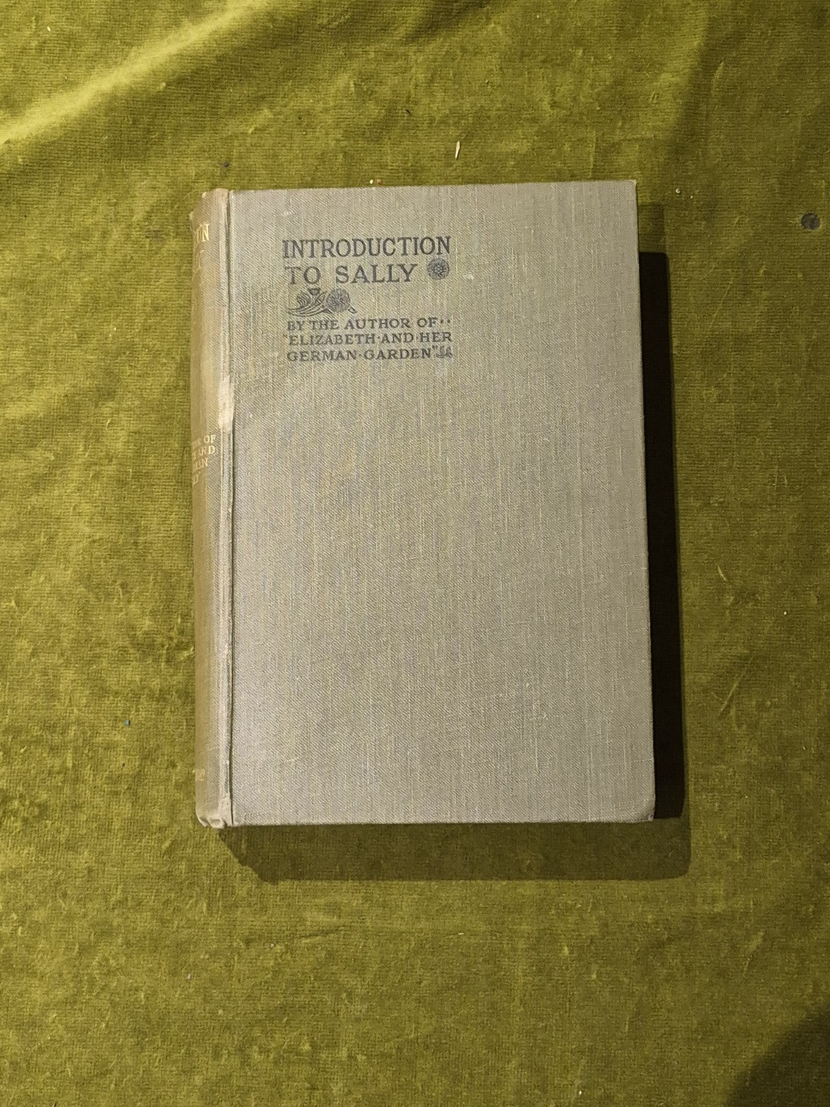 Elizabeth Von Arnim - Introduction to Sally 1926 1st Ed Hardback Macmillan0