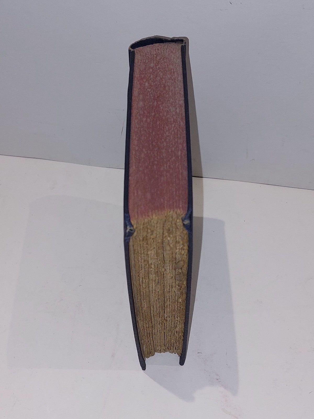 The Private Memoirs & Confessions of a Justified Sinner  James Hogg 1926 RARE 1