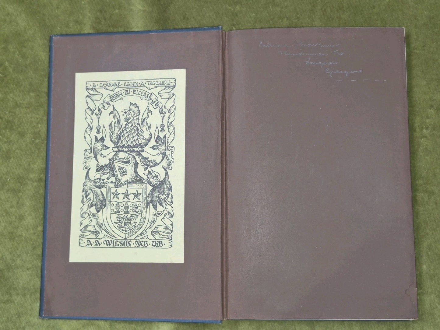 Gaelic Names of Plants John Cameron 1900 New Revised Edition John Mackay3