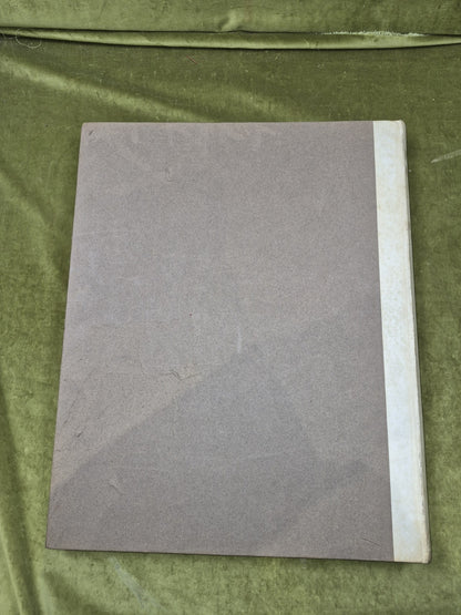 Political Caricatures 1903 -  SIGNED by F Carruthers Gould , Edward Arnold 19042