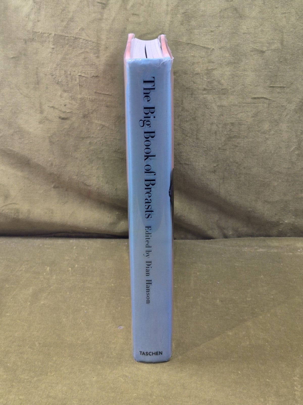 The Big Book of Breasts by Dian Hanson , Taschen 2006 HB DJ2