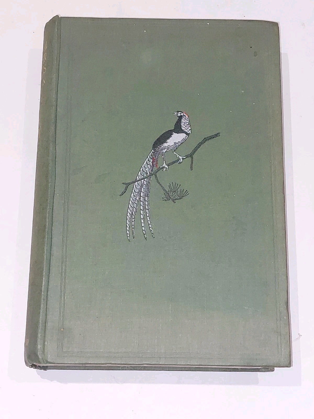 Ornithological and Other Oddities by Frank Finn 1st edition (1907) John Lane 1