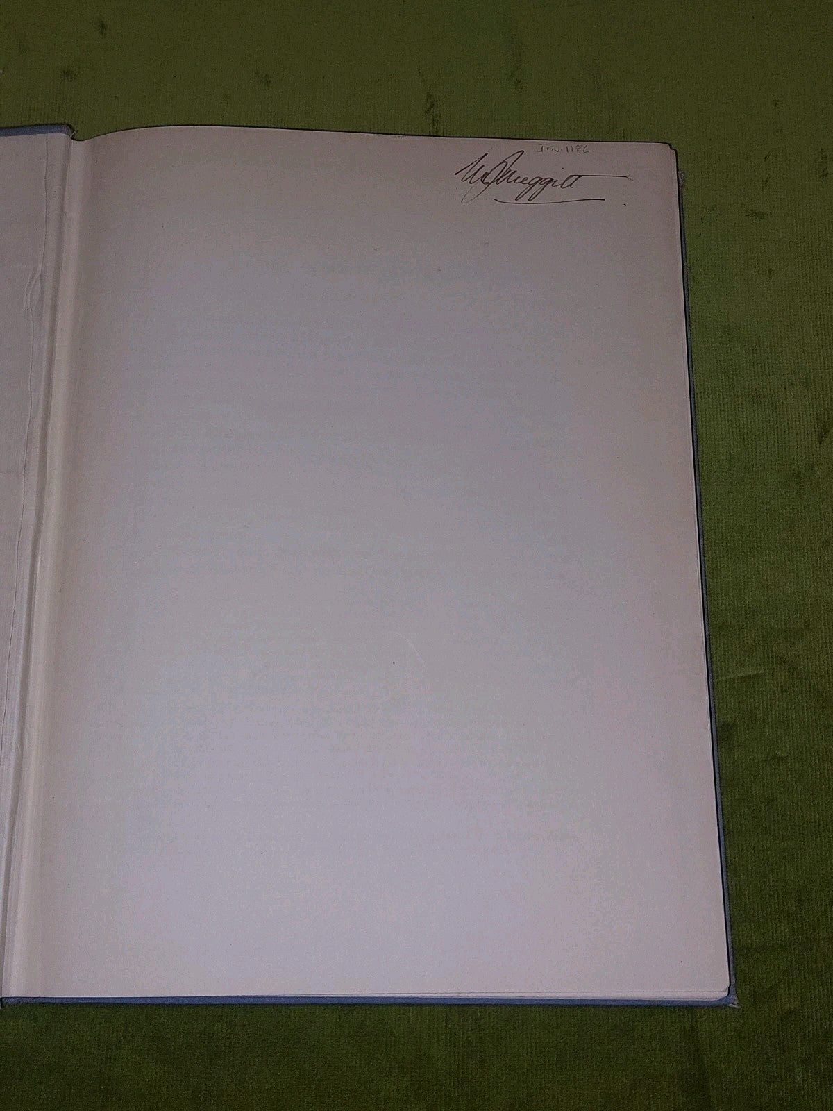 Kinship In South Australia By A P Elkin (1940) Australian Medical Publishing Hb4