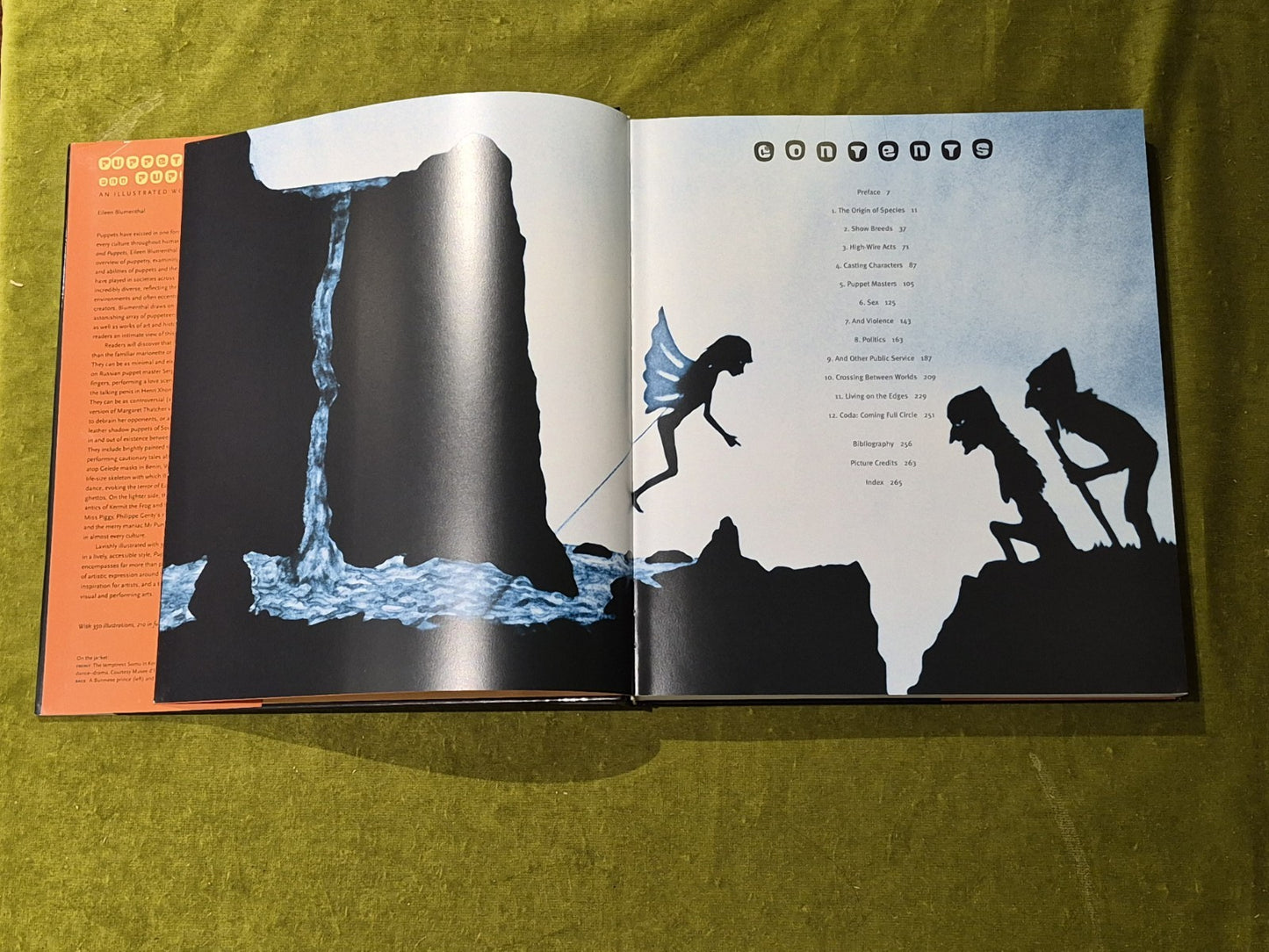 Puppetry and Puppets: An Illustrated World Survey by Eileen Blumenthal 2005 HCDJ6