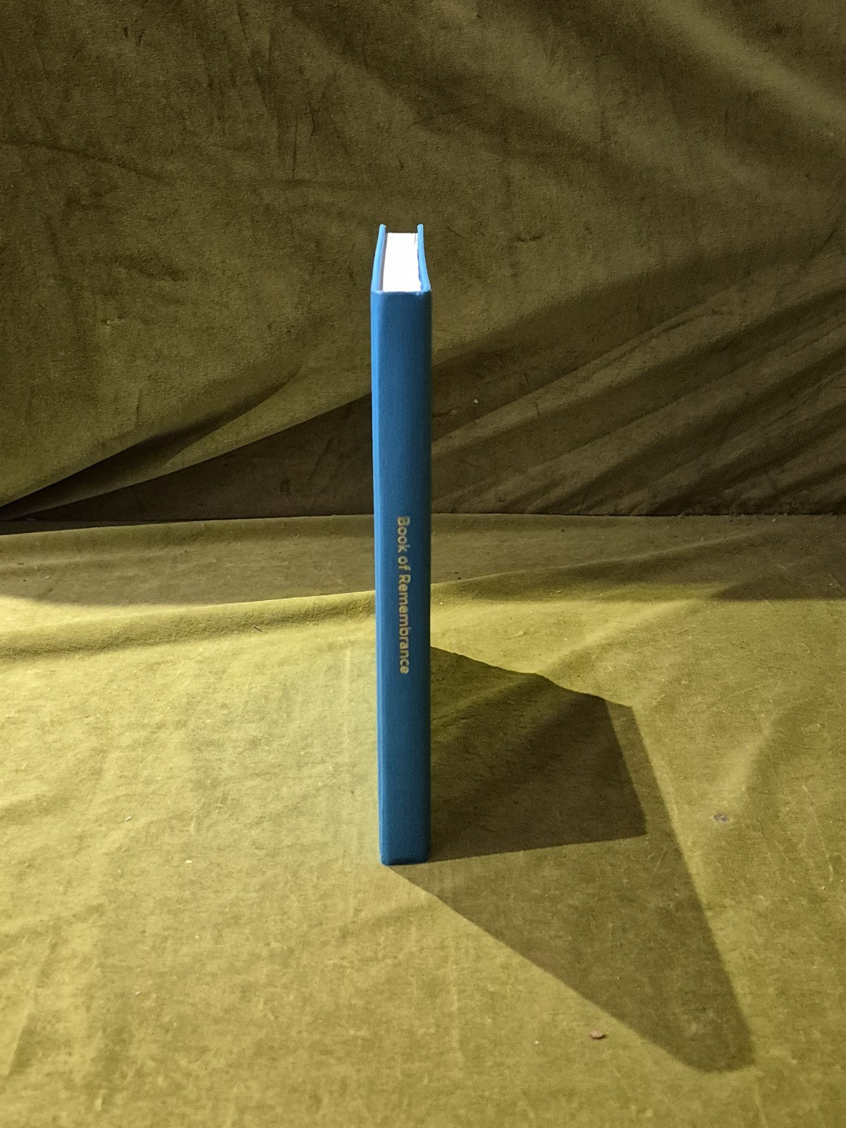 Bryanston School Book of Remembrance HB2