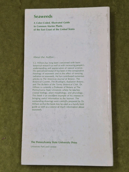 Seaweeds East Coast of the United States 1977 Hillson2