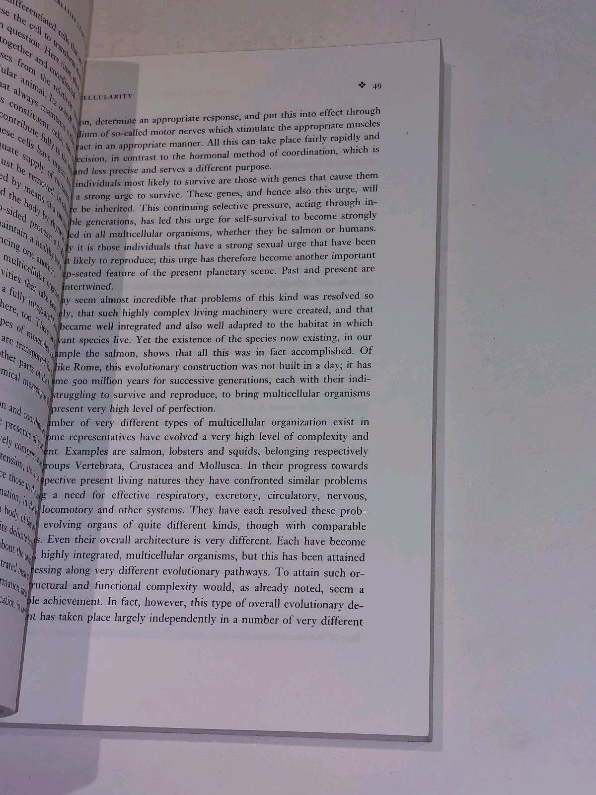 Creative Leaps Shape The World  William GrahamSmith (1997) Pb Book4