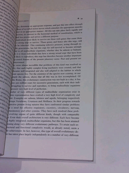 Creative Leaps Shape The World  William GrahamSmith (1997) Pb Book4