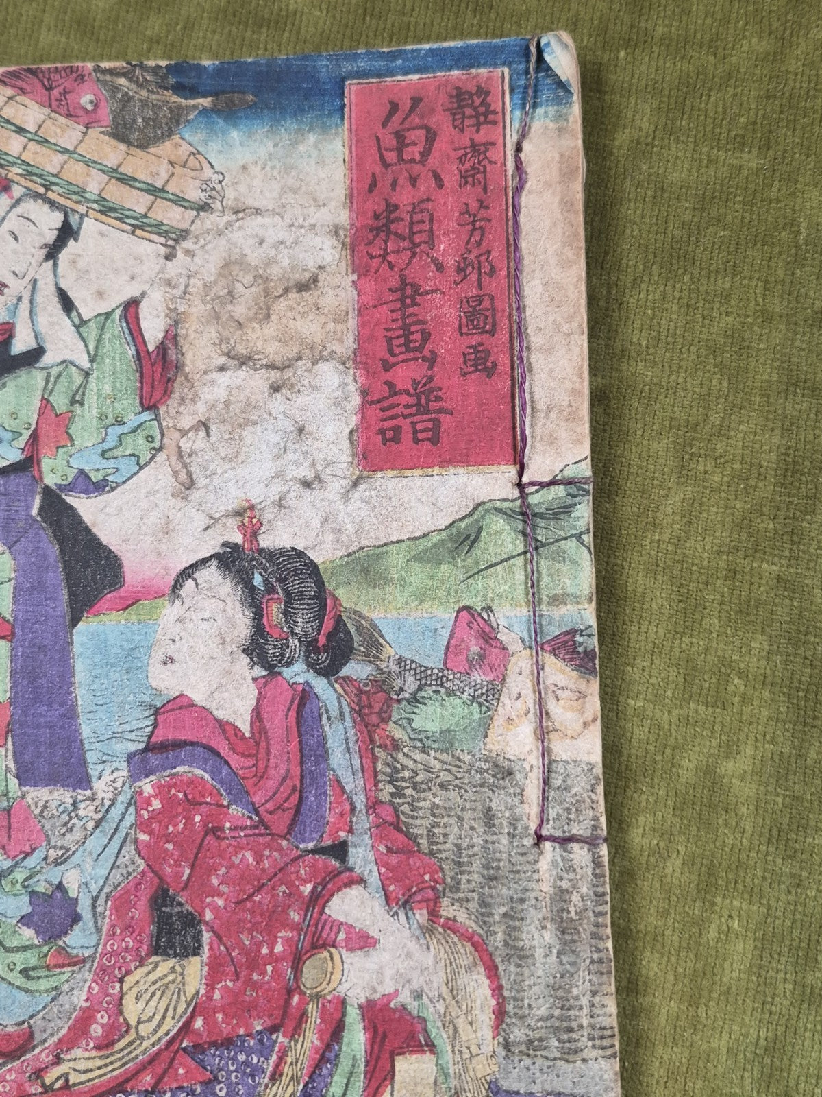 Seisai Yoshimura Utagawa 歌川芳邨 Ohashido Fish Book gyorui syo 魚類書譜大橋堂板 Woodblock3