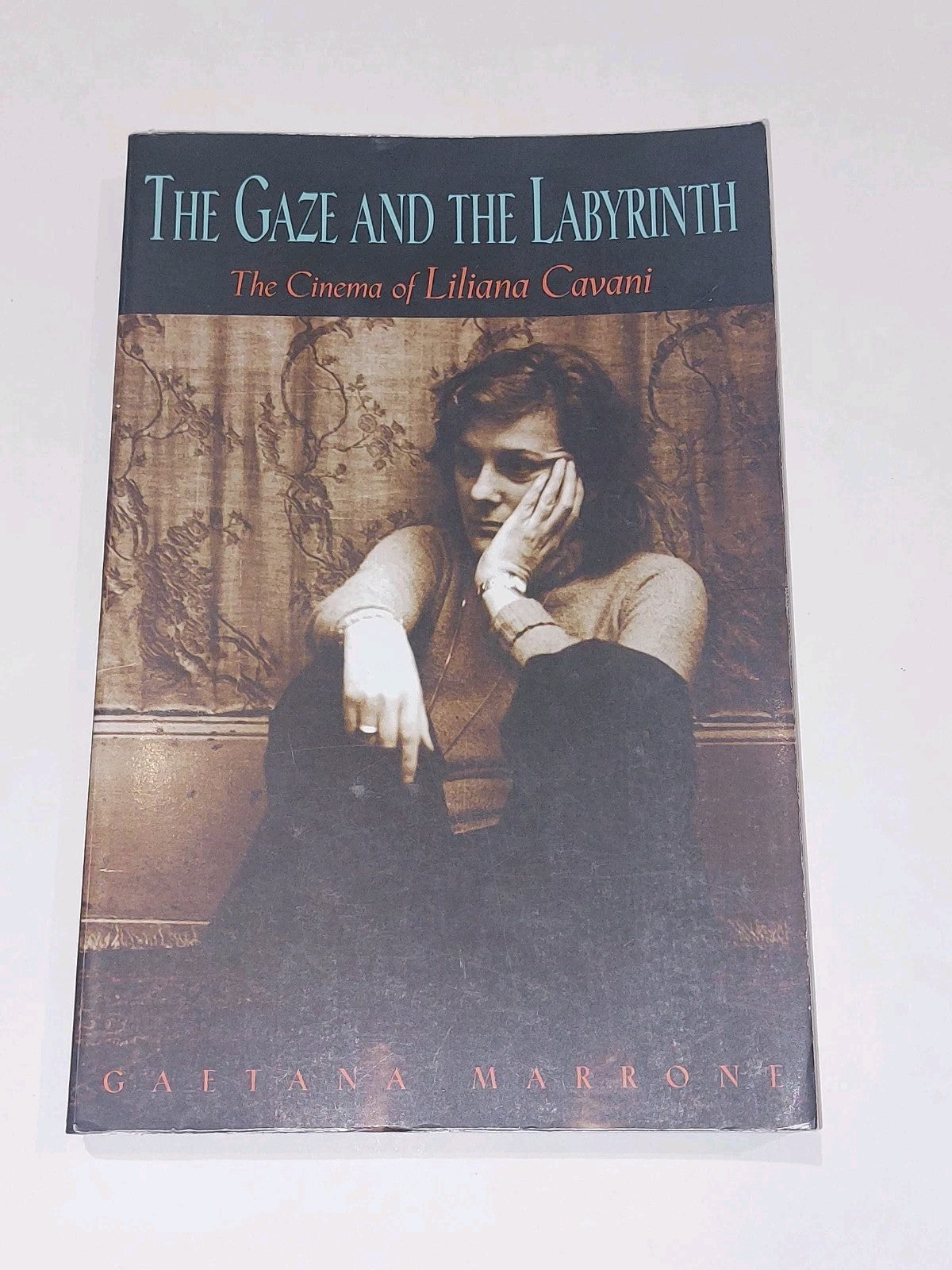 The Gaze and the Labyrinth By Gaetana Marrone 2000 Pb Book0