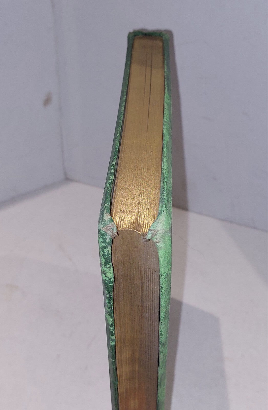 Late 19th Century Book: The Mediterranean Illustrated (1877) [Thomas Nelson]2