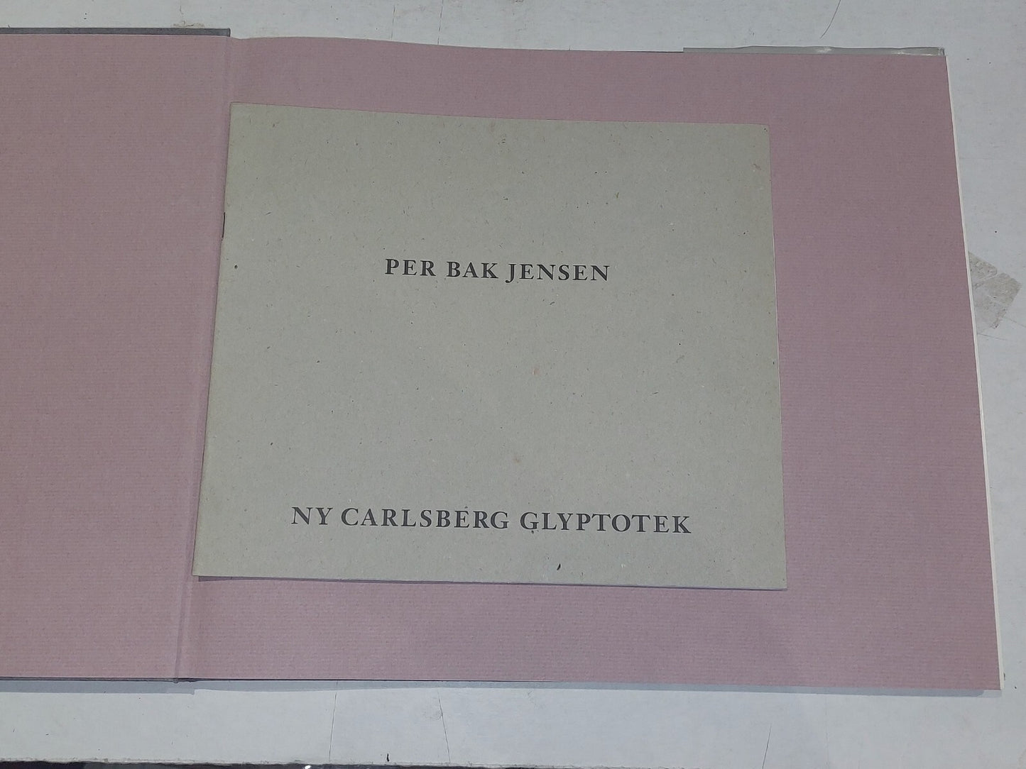 stedernes vaesen / the being of places by per bak jensen (1993) Art Hb Book3