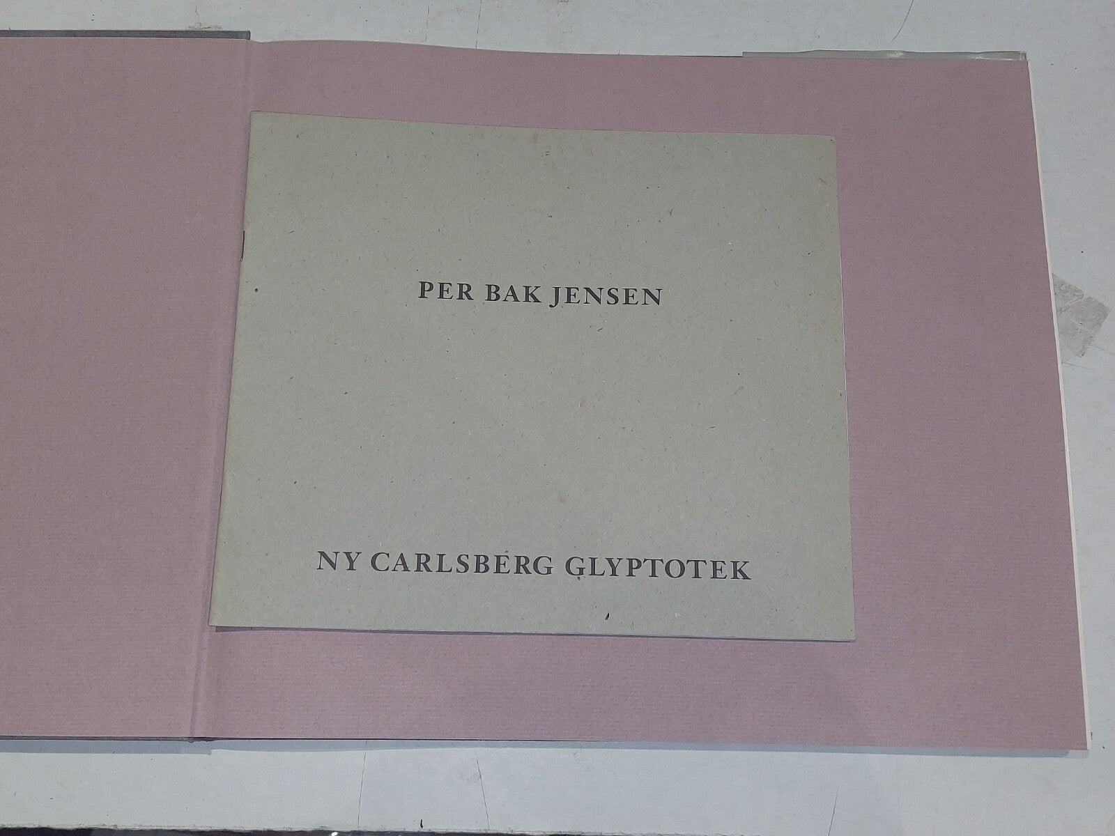 stedernes vaesen / the being of places by per bak jensen (1993) Art Hb Book3