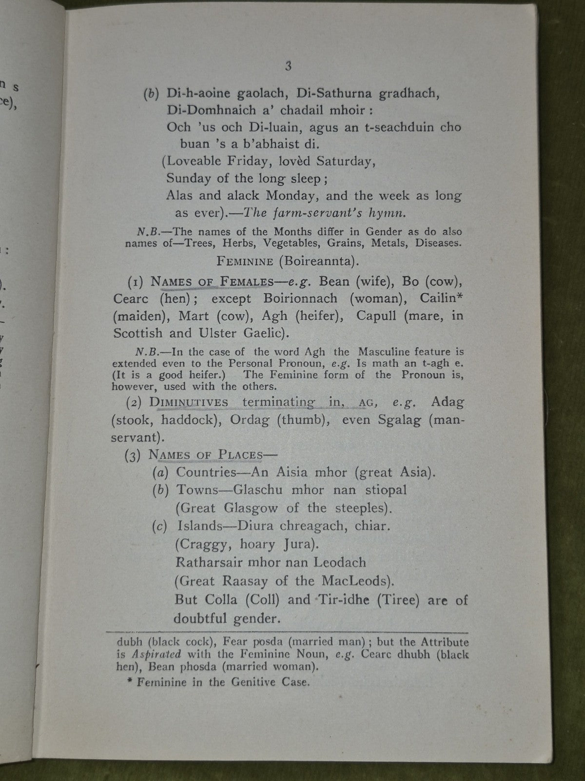 Modern Gaelic A Basic Grammar Alexander Nicolson 19457
