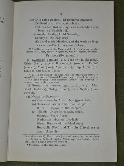 Modern Gaelic A Basic Grammar Alexander Nicolson 19457