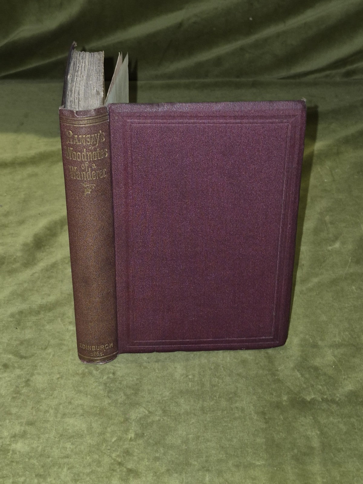 Woodnotes of a Wanderer - John Ramsay - 1865 1st Edition0