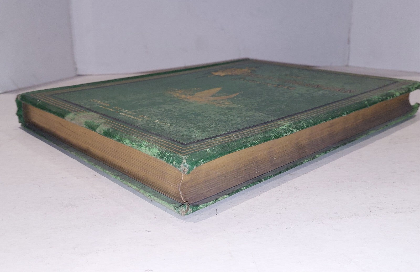 Late 19th Century Book: The Mediterranean Illustrated (1877) [Thomas Nelson]11