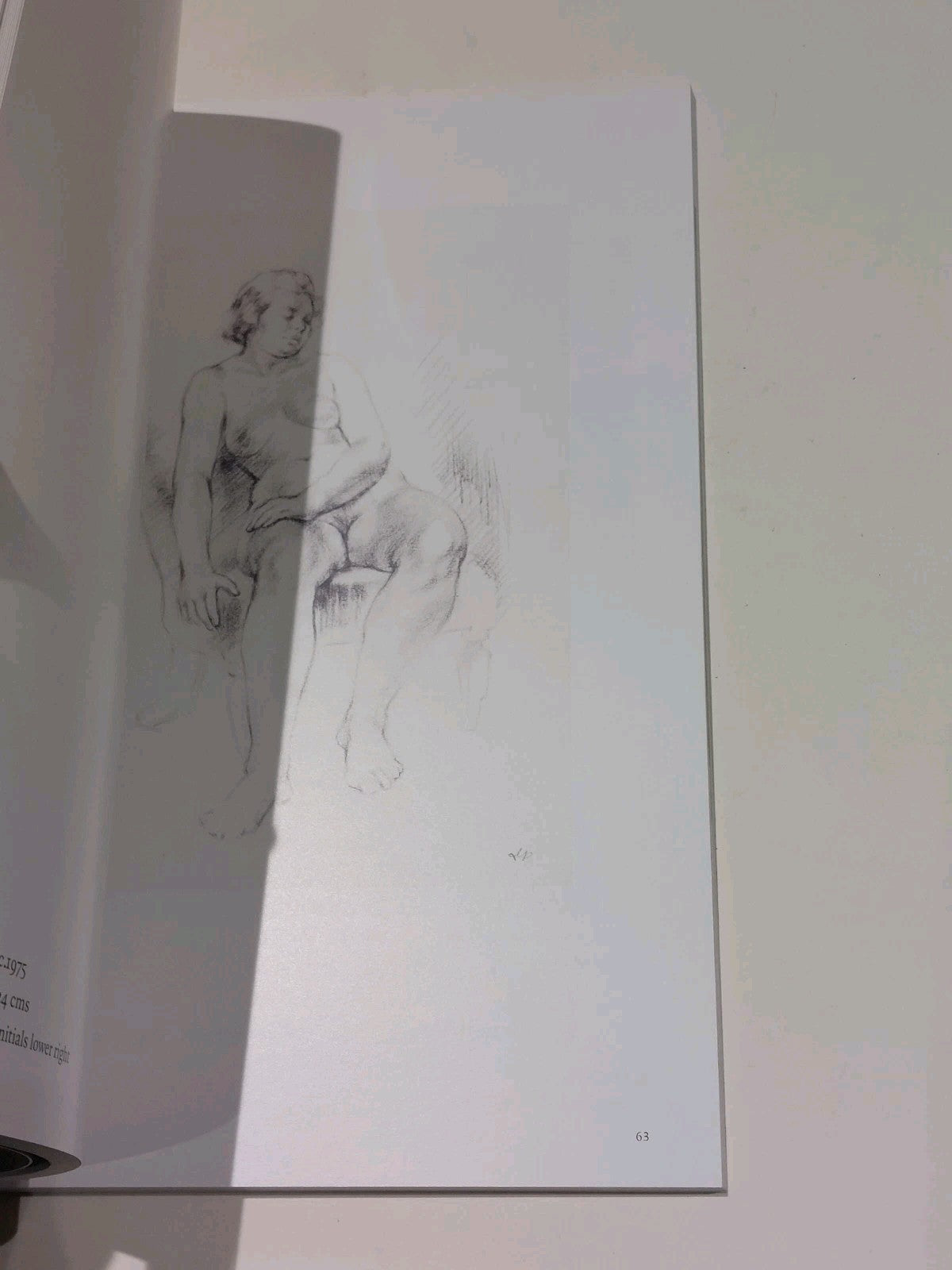 Denis Peploe RSA : Centenary Exhibition (2014) Pb Book5