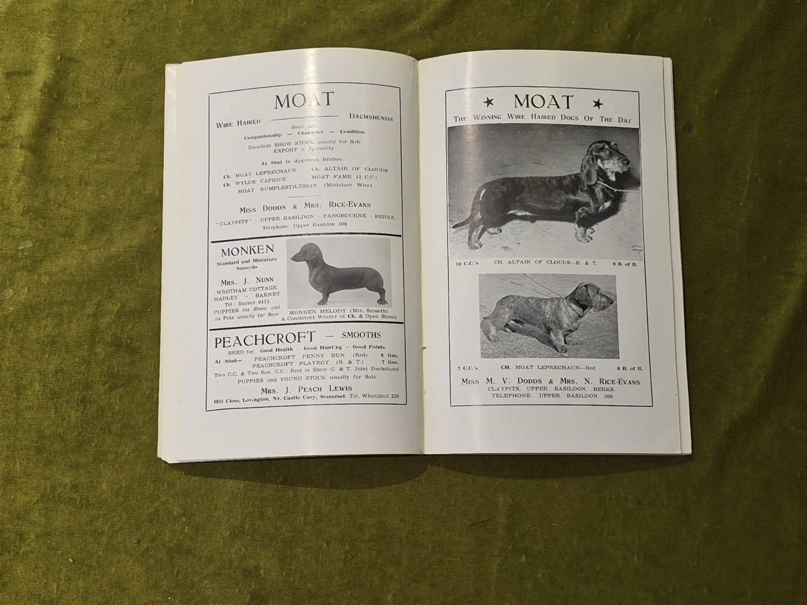 The Dachshund Club Handbook 19554
