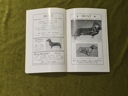 The Dachshund Club Handbook 19554