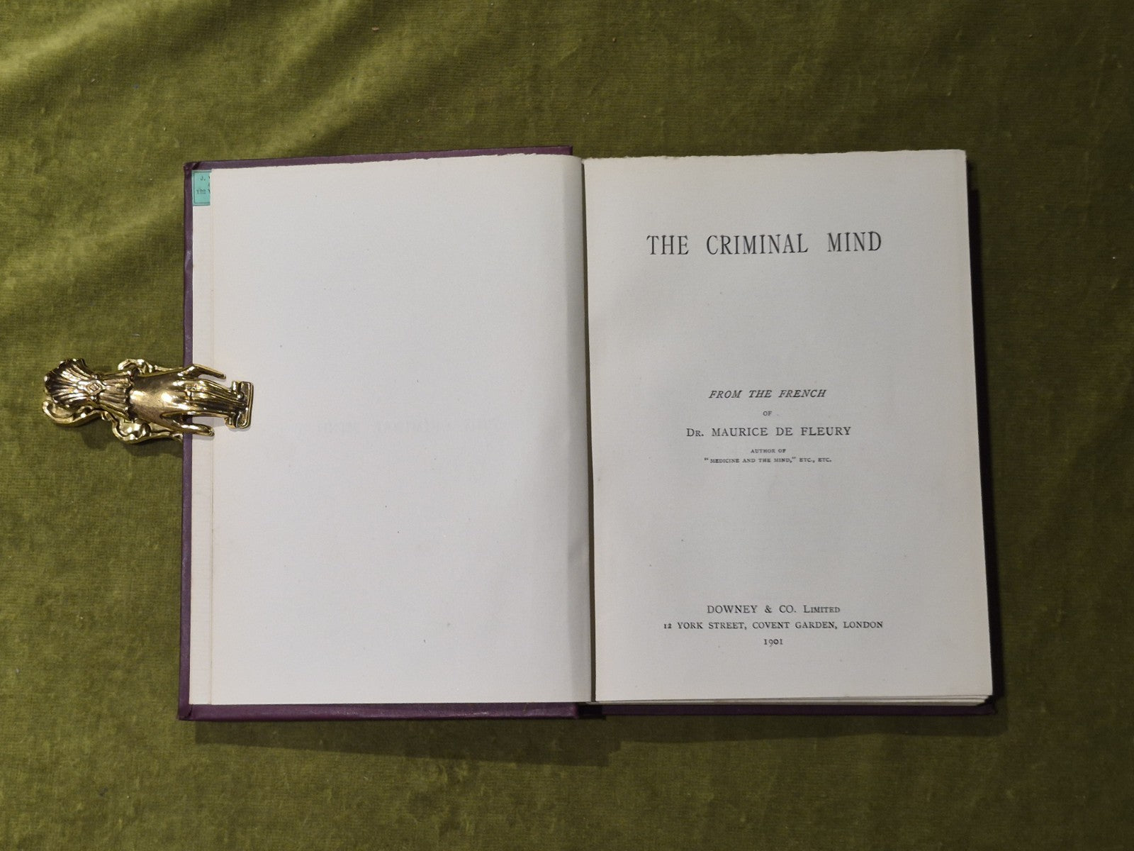 The Criminal Mind - Maurice de Fleury 1901 1st HB  Downey & Co4