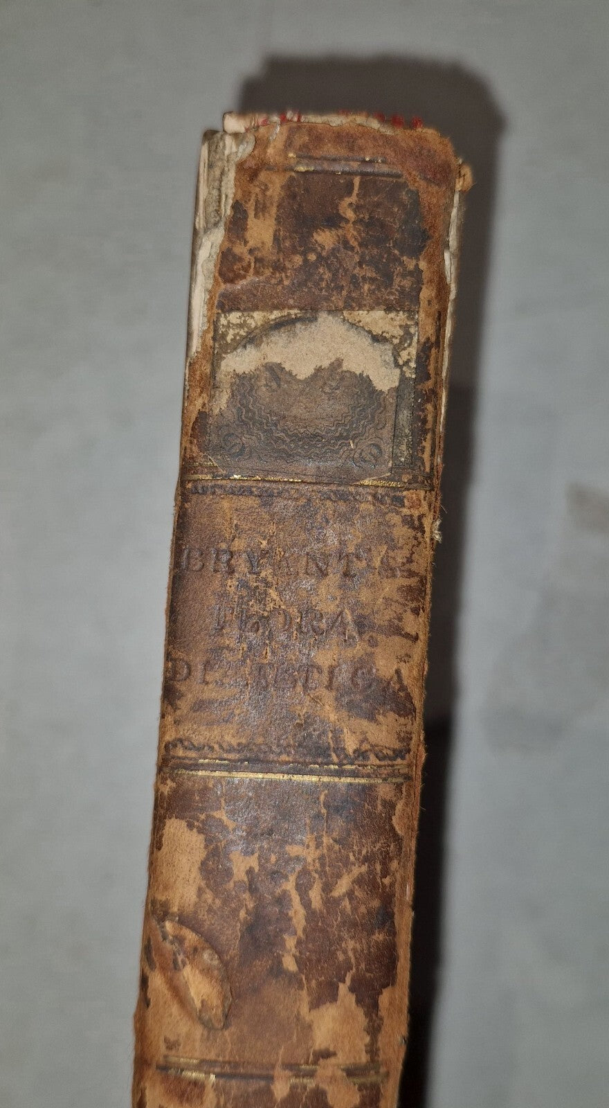 1783 Flora Diaetetica or History of Esculent Plants By Charles Bryant 1st Editn18